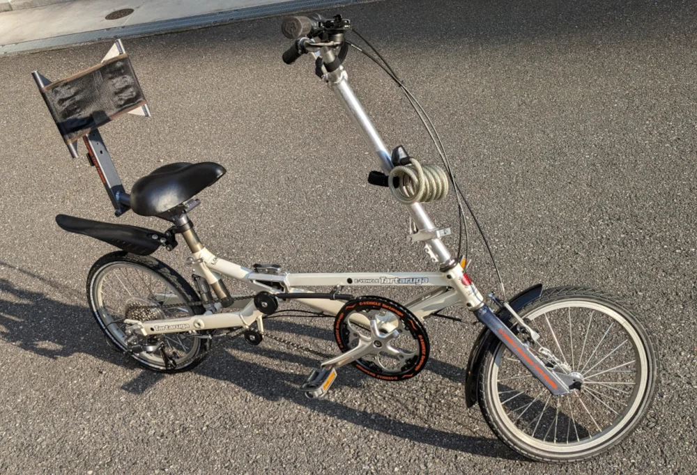 オーバーホール後の Tartaruga Type F